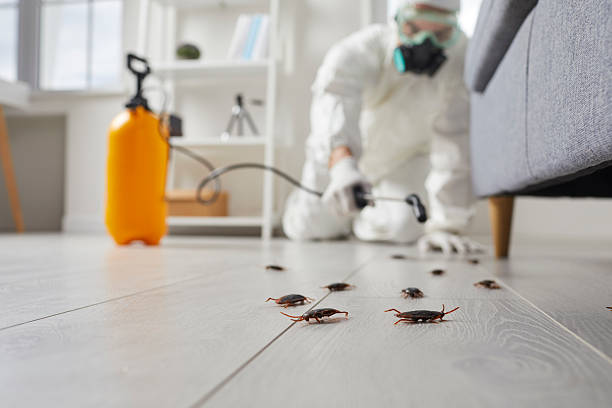 Trusted Emergency Pest Control service in Lincoln Beach, OR - Nex Pest Control