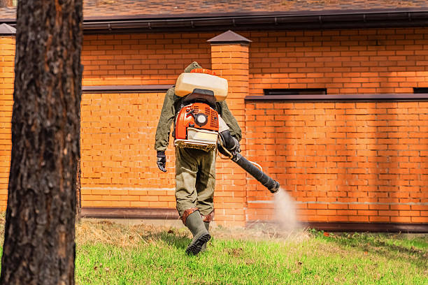 Trusted Cockroach Control service in Lincoln Beach, OR - Nex Pest Control
